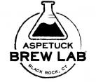 Aspetuck Brew Lab - Turbidity Lucidity (415)