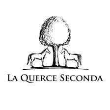 La Querce Seconda Niccolo Bernabei - Chianti Classico 2017 (750ml) (750ml)