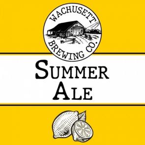 Wachusett - Summer Ale (12 pack 12oz cans) (12 pack 12oz cans)